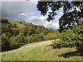 SJ9666 : Woods above the Dane valley by Robin Stott