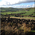 SJ9765 : North to Wildboarclough from near Hangingstone Farm above Danebridge by Robin Stott