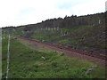 NN3040 : West Highland Line near Bridge of Orchy by Malc McDonald