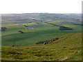 NO1907 : North slope of West Lomond by Alan O'Dowd