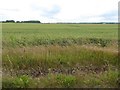 TA2702 : Farmland on the site of the former RAF Grimsby by Steve  Fareham