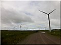 NS9055 : Black Law Wind Farm by Rude Health 