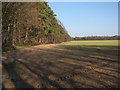 TL7889 : Arable field near Brickkiln Farm by Hugh Venables