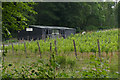 TQ0548 : Vineyard shed, Albury Down by Alan Hunt