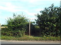 TM1624 : Public footpath through bushes near Beaumont by Malc McDonald