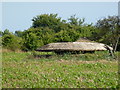 TL0297 : Mushroom pillbox at RAF King's Cliffe by Richard Humphrey