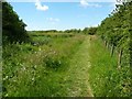 SD4213 : Permissive footpath, southern perimeter of Martin Mere by Christine Johnstone