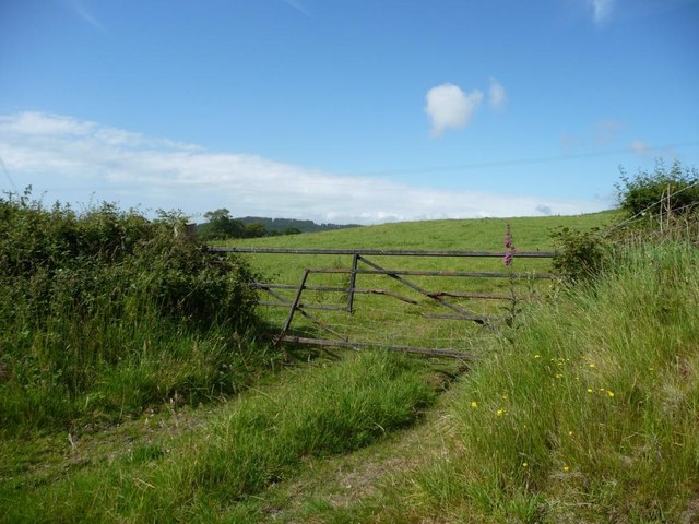 Field gate, north-west of Cynnul Mawr