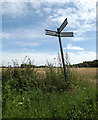 TM1468 : Roadsign on Hall Road by Geographer