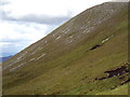  : North side of Dunan Liath in Glencalvie Forest by ian shiell