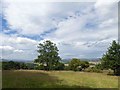 SE3145 : Harewood view down Wharfedale by Steve  Fareham