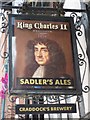 SO8554 : Inn sign, King Charles II by Philip Halling