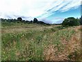 NH8649 : Water Meadow near Blairnadergid by Mick Garratt