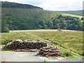 NY2792 : View across Eskdale by Oliver Dixon