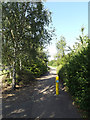 TL0652 : Path into Mowsbury Park by Geographer