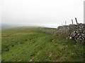  : Dry stone wall on Middlesmoor Pasture by Graham Robson