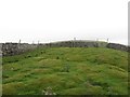  : Dry stone walls on Middlesmoor Pasture by Graham Robson