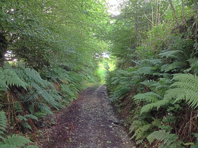 Lane to Button Bridge