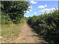 SX8369 : Unsealed road to Stubbins Cross by Hugh Craddock