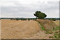 TL9539 : Harvested wheat field, hedgerow and footpath, Boxford by Roger Jones