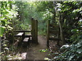 TF1506 : Wooden stile near Glinton by Paul Bryan