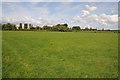 SO8935 : Meadow beside the Avon by Philip Halling