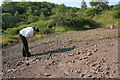 NS5975 : Searching for fossils, Blairskaith Quarry by Richard Sutcliffe