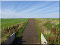 NY0686 : Cattle ramp at Cumrue Farm by Oliver Dixon