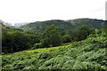 SH8053 : Looking across bracken towards Clogwyn brith by Steve Daniels