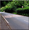 SO3700 : End of the 30mph speed limit near  the southern edge of Usk by Jaggery