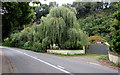 SO3700 : Weeping willow, Usk by Jaggery