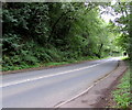 SO3700 : No overtaking on the road to Usk, Llanbadoc by Jaggery