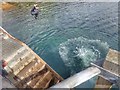 NG7600 : Tombstoning at Inverie by Mick Garratt