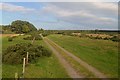 NH8182 : A Track near the Air Weapons Range at Tain by Andrew Tryon