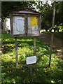 TM1965 : All Saints Church Notice Board by Geographer