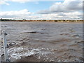 SE9824 : Red Cliff, on the north bank of the Humber by Christine Johnstone