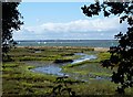 SZ7799 : Mudflats and tidal creeks at Ella Nore by Rob Farrow