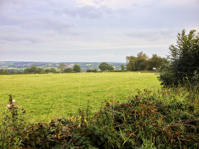 View from Swinscoe Hill