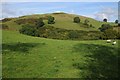 SN7038 : Upland grazing by Philip Halling