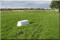 TQ0868 : Rough pasture, Upper Halliford by Alan Hunt