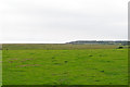 TM4772 : Looking over Dingle Marshes, Dunwich by Roger Jones