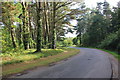 SH4164 : Toll Road to Newborough Beach by Jeff Buck