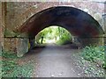 SK6856 : A substantial arched brickwork bridge over the Southwell Trail by Steve  Fareham