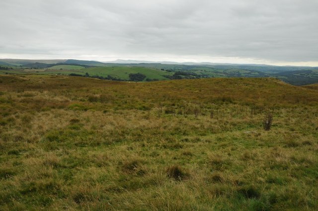 Rough upland grazing