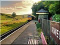 SD7920 : Irwell Vale Halt, Late Afternoon by David Dixon