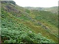 NY4215 : Derelict wall, below Heck Crag, Bannerdale by Christine Johnstone