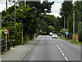 TL8094 : A1065, Swaffham Road, South of Ickburgh by David Dixon