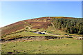 SJ1660 : Offa's Dyke Path at Bwlch Penbarras by Jeff Buck