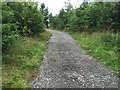 SJ8147 : Silverdale Country Park: newly laid path by Jonathan Hutchins