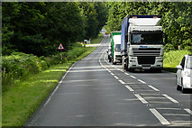  : DAF XF on the A134 Through Thetford Forest by David Dixon